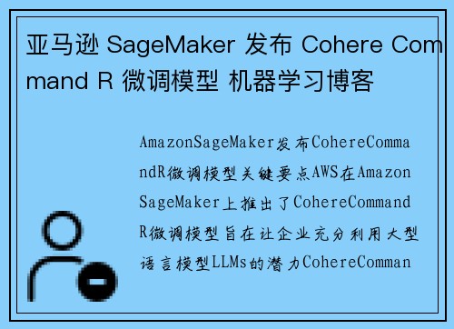 亚马逊 SageMaker 发布 Cohere Command R 微调模型 机器学习博客